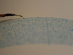 Gempa M 5,6 Terjadi di Maluku Barat Daya
