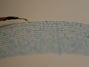 BPBD Pacitan Pastikan Tak Ada Kerusakan saat Gempa M 4,8