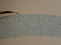 Peringatan Tsunami Gempa M 7 California Dicabut, Korban Nihil