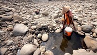 Warga Jonggol harus mencari sumber air untuk kebutuhan sehari-hari di Sungai Cipamingkis, Kabupaten Bogor, Jawa Barat. Yulius Satria Wijaya/Antara Foto. 