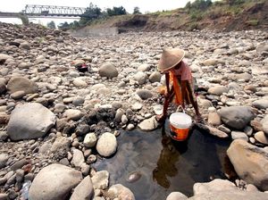 Potret Kekeringan di Sejumlah Wilayah di Pulau Jawa