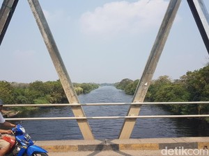 Sungai Ciujung Lebak Surut Siaga 2, Warga Diminta Tetap Waspada Banjir