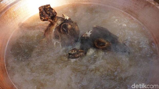 Pesta Gecok Kambing di Curug Semirang Ungaran.