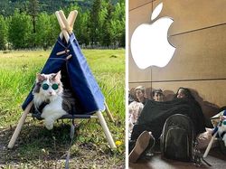 Foto Editan Kocak Photoshop Mengundang Tawa