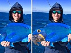 Foto Editan Kocak Photoshop Mengundang Tawa