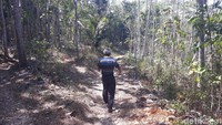 Kamu harus berjalan kaki menyusuri jalan setapak yang terdiri dari tumpukan batu kapur sejauh 200 meter. Namun ingat, kontur jalan setapak itu sangat terjal dan menjorok ke bawah, karena itu pengunjung diharap berhati-hati saat melangkah (Pradito Rida Pertana/detikcom)