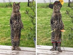 Foto Editan Kocak Photoshop Mengundang Tawa