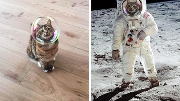 Kucing jadi Astronot.  Foto: agoraimages