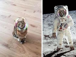 Foto Editan Kocak Photoshop Mengundang Tawa