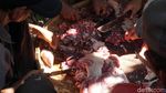 Antusias Warga Ikut Serta Ramaikan Pesta Gecok Kambing di Ungaran