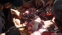 Nantinya dua ekor kambing itu akan disembelih di Curug Semirang lalu dimasak dan dibagikan kepada seluruh masyarakat Desa Gogik.