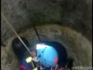 Aksi PMK Selamatkan Kucing Tercebur Sumur Sedalam 10 Meter