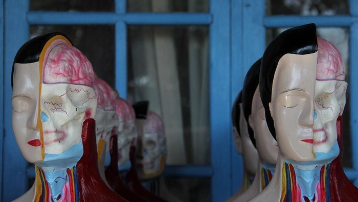 DEPOK, INDONESIA - APRIL 23:  A craftsman paints human anatomy mannequins on April 23, 2014 in Depok, West Java, Indonesia. The mannequins are made from fiberglass and will be used in schools, hospitals and laboratories.  (Photo by Nurcholis Anhari Lubis/Getty Images)