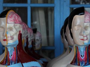 Ruang Lingkup Biologi: Tingkatan, Cabang Ilmu, dan Manfaatnya