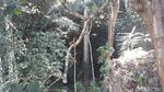 Foto: Gua Cantik yang Belum Hits di Yogyakarta