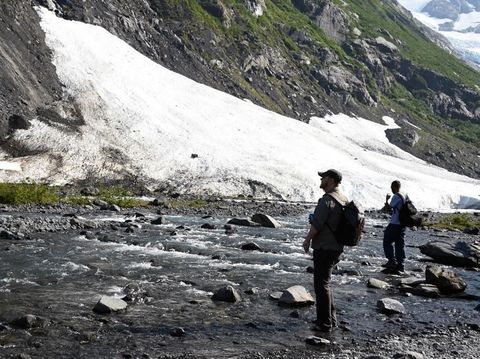 Dataran beku yang menyelimuti sebagian besar wilayah Alaska mulai mencair