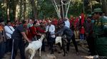 Antusias Warga Ikut Serta Ramaikan Pesta Gecok Kambing di Ungaran