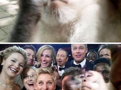 Foto Editan Kocak Photoshop Mengundang Tawa