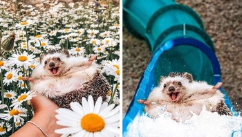 Landaknya main di waterboom. Foto: agoraimages.com