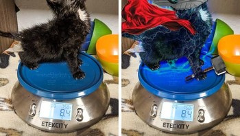 Jadi Thor. Foto: agoraimages