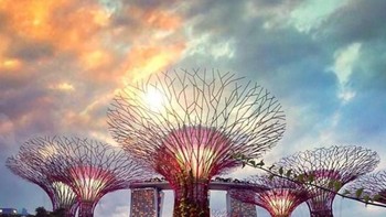 Gardens by the Bay di Singapura adalah taman alam seluas 101 hektar dari tanah reklamasi berdekatan dengan Marina Reservoir. Foto: via Brainberries
