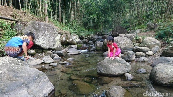 Wisata yang dirintis masyarakat sejak awal Januari ini menawarkan sejumlah keistimewaan. Pengunjung dapat menikmati sensasi bermain di sungai yang jernih khas pedesaan (Adhar/detikcom) Wisata yang dirintis masyarakat sejak awal Januari ini menawarkan sejumlah keistimewaan. Pengunjung dapat menikmati sensasi bermain di sungai yang jernih khas pedesaan (Adhar/detikcom)