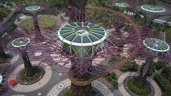 Gardens by the Bay Singapura terdiri dari tiga taman tepi laut: Bay South Garden (di Marina South), Bay East Garden (di Marina East) dan Bay Central Garden (di Downtown Core dan Kallang). Foto: via Brainberries