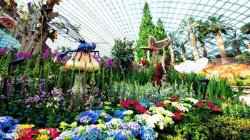 Gardens by the Bay adalah bagian dari rencana Singapura meningkatkan kualitas hidup dengan meningkatkan tanaman hijau dan flora di wilayah perkotaan. Foto: via Brainberries