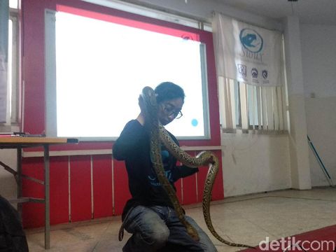 10 Orang Tewas dalam 51 Kasus Gigitan Ular di Jabar