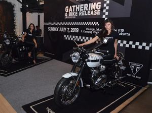 Dua Motor Baru Triumph Dijual Terbatas, Ini Speknya