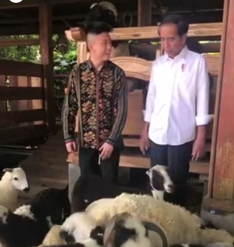 Momen Rich Brian Diperlihatkan Kambing dan Domba Milik Jokowi