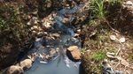 Tercemar Limbah, Air Sungai Desa Klepu Hitam dan Berlendir