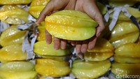 Namun, jika memasuki musim panen raya yang terjadi pada bulan Oktober-Februari hasil panennya bisa mencapai 1-2 ton.