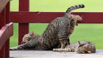 Nah, pas banget nih momen dan angle-nya! (Foto: Via Brightside)