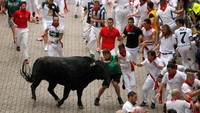 Momen yang paling dinanti dari Festival ini adalah saat sejumlah banteng dilepaskan ke jalan dan berlari bersama ratusan warga. Jon Nazca/Reuters.