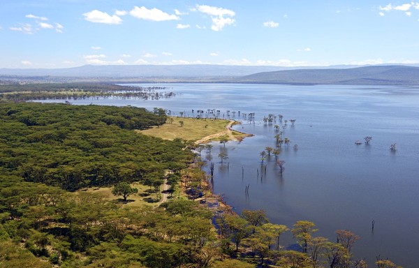 Tidak hanya karena adanya jutaan flamingo yang menggemaskan, pemandagan di Danau Nakuru juga indah. (iStock)