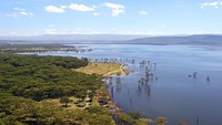 Tidak hanya karena adanya jutaan flamingo yang menggemaskan, pemandagan di Danau Nakuru juga indah. (iStock)