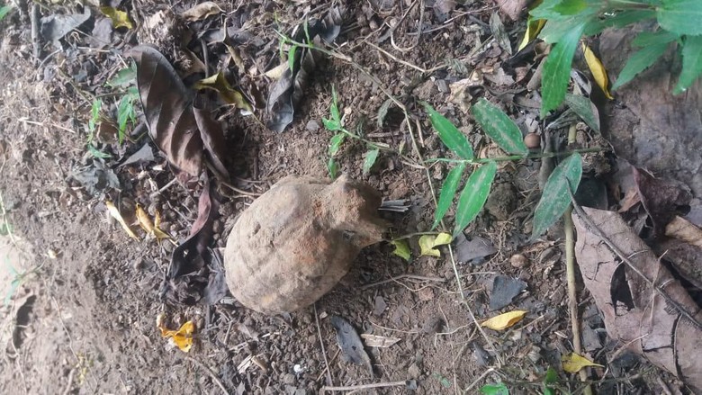 Cari Rumput untuk Pakan Ternak, Bocah di Bali Temukan Granat Cari Rumput untuk Pakan Ternak, Bocah di Bali Temukan Granat