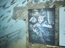 Potret Manusia dan Sampah Laut