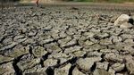 Waduk Grojokan di Jombang Mulai Mengering