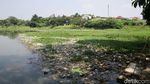 Sampah dan Eceng Gondok Penuhi Setu Pengarengan Depok