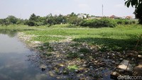 Sampah didominasi oleh plastik dan styrofoam.