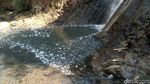 Tercemar Limbah, Air Sungai Desa Klepu Hitam dan Berlendir