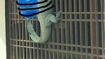 8 Meme Kocak Biawak Panjat Pagar, Jadi Tukang Sayur hingga Antar Galon Air
