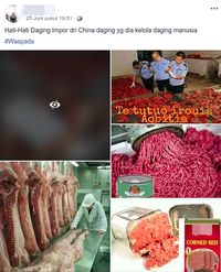 Viral Hoax Daging Impor dari China Berbahan Daging Manusia