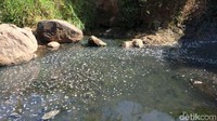 Selain hitam dan berlendir, air di sungai tersebut juga berbuih. Disinyalir ini akibat terpapar oleh limbah dikawasan tersebut.