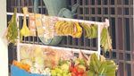 8 Meme Kocak Biawak Panjat Pagar, Jadi Tukang Sayur hingga Antar Galon Air