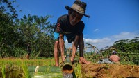 Pembangunan kincir air itu dilakukan oleh para petani untuk mengantisipasi kekeringan dan kesulitan mendapatkan air yang dapat berimbas pada lambatnya produksi panen atau yang terburuk dapat membuat para petani gagal panen. Antara Foto/Adeng Bustomi.