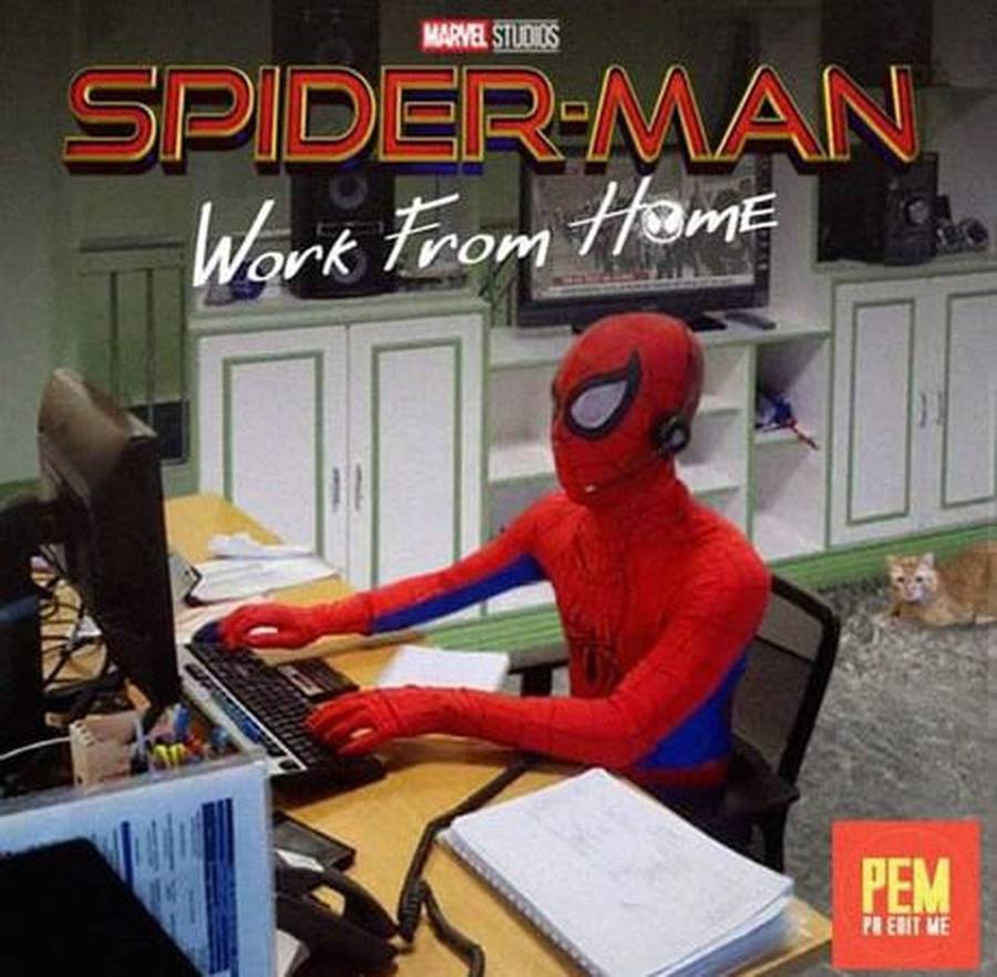 Kumpulan Meme Spider Man Hingga Teori Asal Usul Mysterio Foto 2