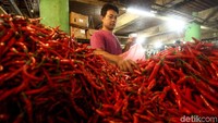 Harga cabai di Pasar Jembatan Lima, Jakarta Barat, masih tinggi untuk semua jenis, Selasa (9/7/2019).